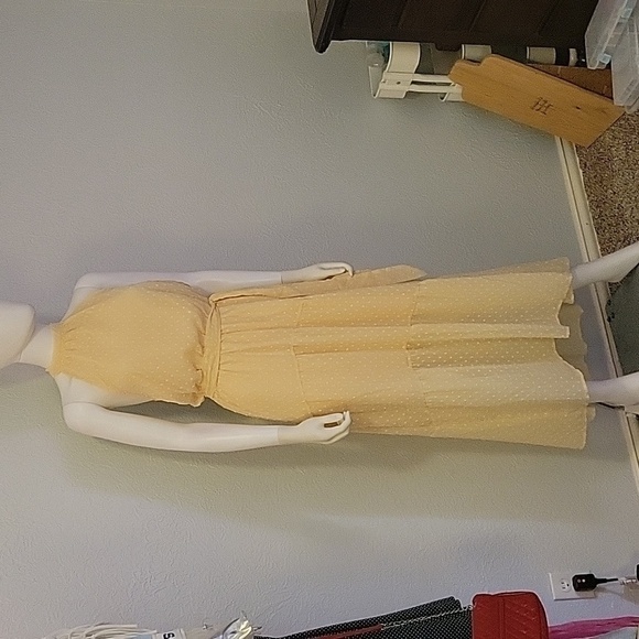 PRETTY GARDEN Ivory Swiss Dot Chiffon Tiered Halter Castlecore Dress - Picture 2 of 15